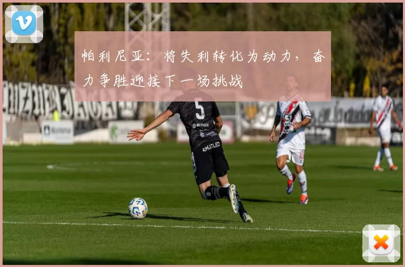 帕利尼亚：将失利转化为动力，奋力争胜迎接下一场挑战