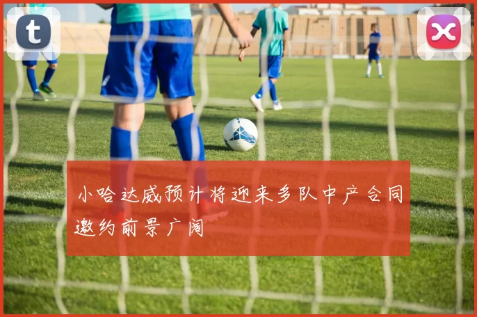 小哈达威预计将迎来多队中产合同邀约前景广阔